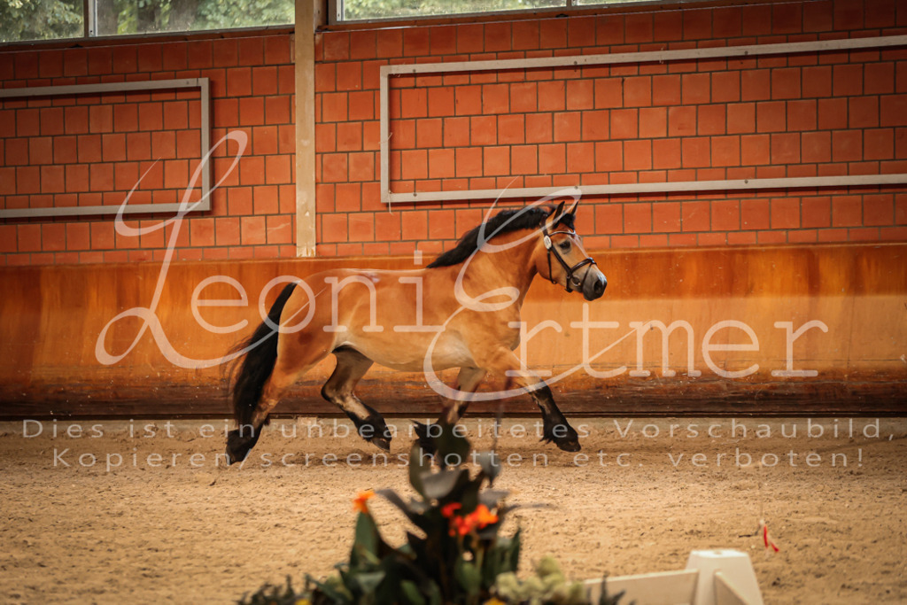 SaFL00185 | Leoni Ertmer Photography - Realisiert mit Pictrs.com