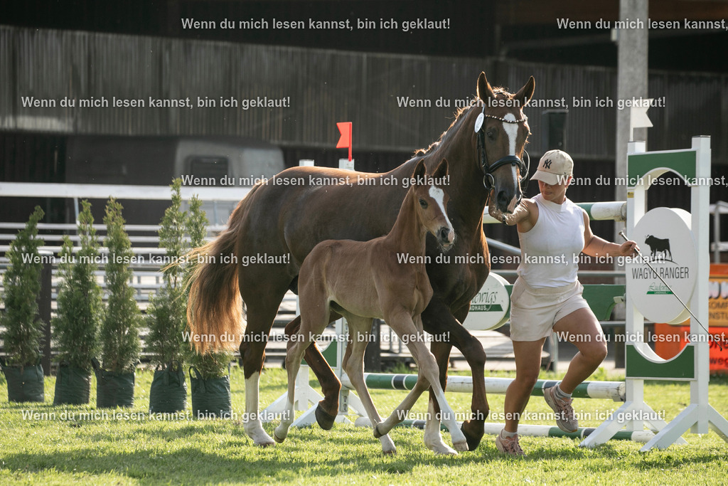 598A7220 | photographylinaismer - Realisiert mit Pictrs.com