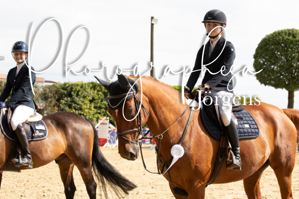 IMG_6640 | photographesa-joergens - Realisiert mit Pictrs.com