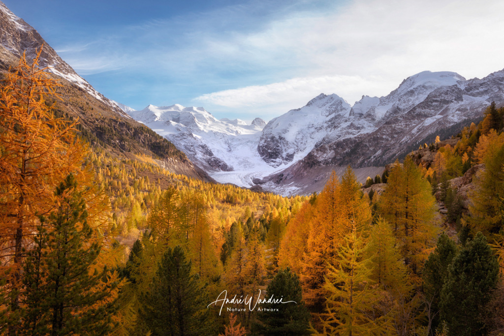 Goldene Lärchen im Engadin | Andre Wandrei - Nature Artworx - Realisiert mit Pictrs.com