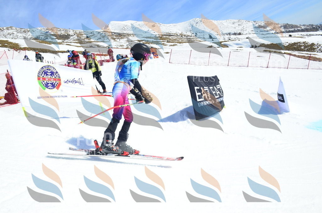 _ELE0948 | holidayphoto