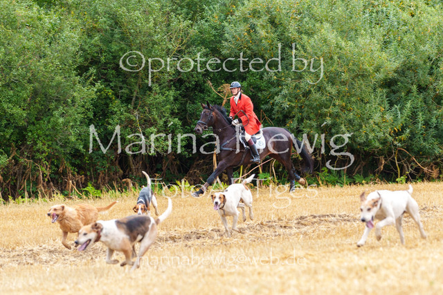 Jagd Knoop 26_MarinaHewigMCH02144 | Fotografie, FotoArt, PferdesportArt, Pferdesportfotografie, Landschaftsfotografie, Reisefotografie, Reise, Pferde - Realisiert mit Pictrs.com
