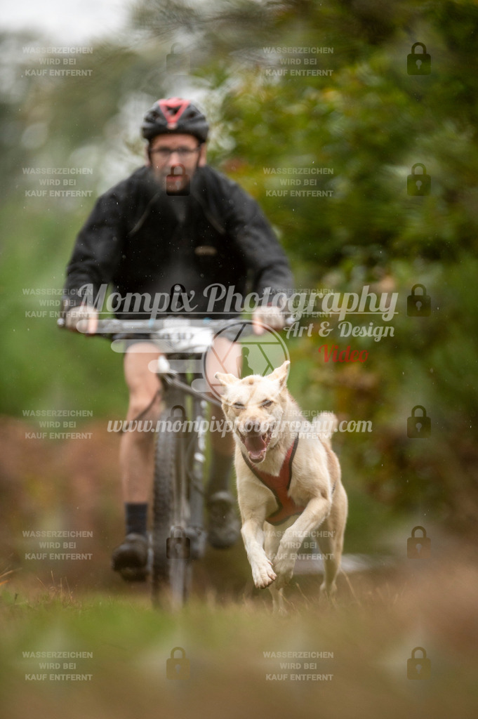 TSB_2023_E5_Bike-24 | PayLife