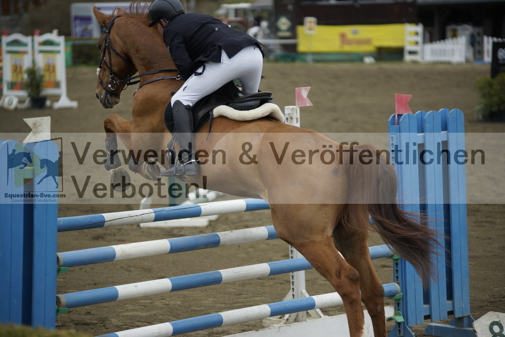 _DSC7205 | equestrian-live-com
