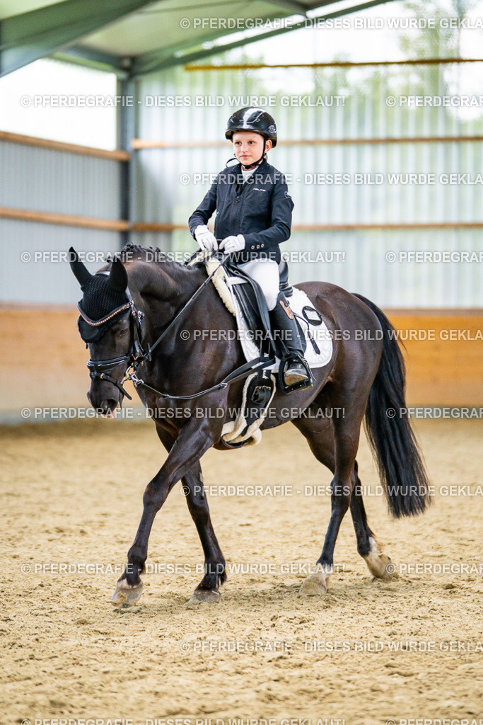 DSC04809 | Pferdegrafie