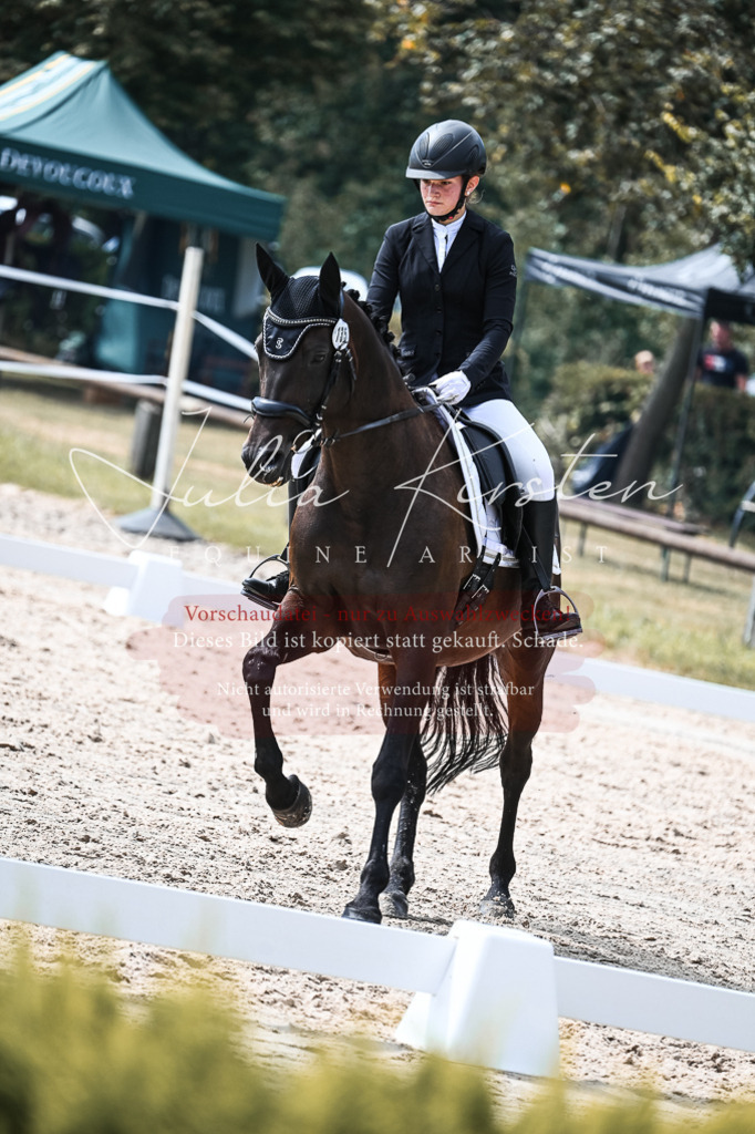DSC_5264 | Pferde- und Turnierfotografie in Westsachsen. Pferdeportraits, Auftragszeichnungen und intuitive Kunst.