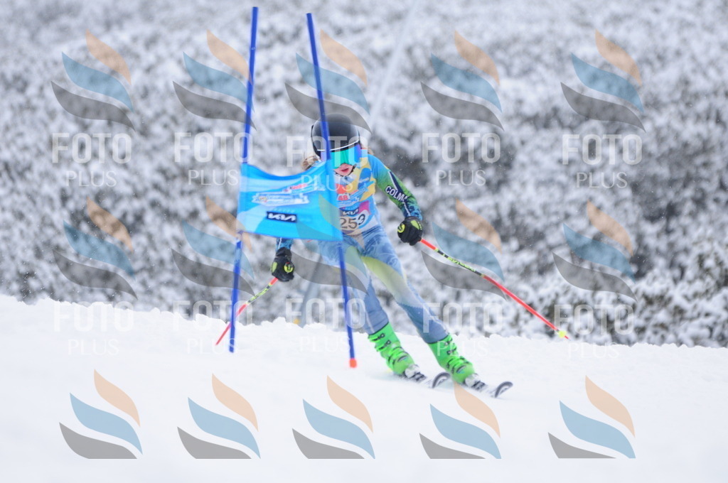 C2659 | holidayphoto