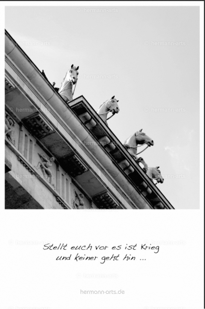 PK_Zitate_10x15_BW-076 | Photo Foto Kunst Art schwarzweiss Bilder Rheine Münster Berlin Blumen 