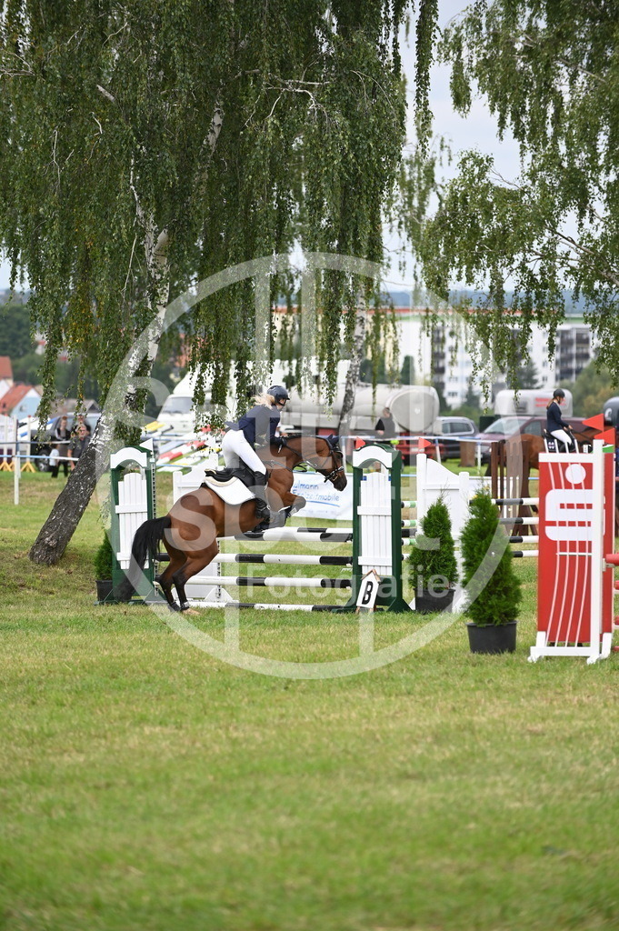 DSC_1527 | sattelsport - Realisiert mit Pictrs.com