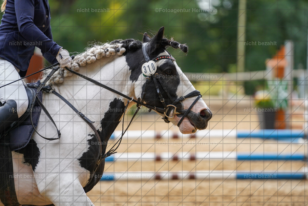 20231008-SN_01202 | Professionelle Turnier- und Reitsportfotografie - mit dem Finger am Auslöser. Pferdebilder aus dem Reitsport von den Turnierfotografen  Bayern , Pferdefotograf Bayern, Pferdeshooting Turnierbilder, Hochzeitsfotograf, Eventfotograf, Hochzeitsbilder