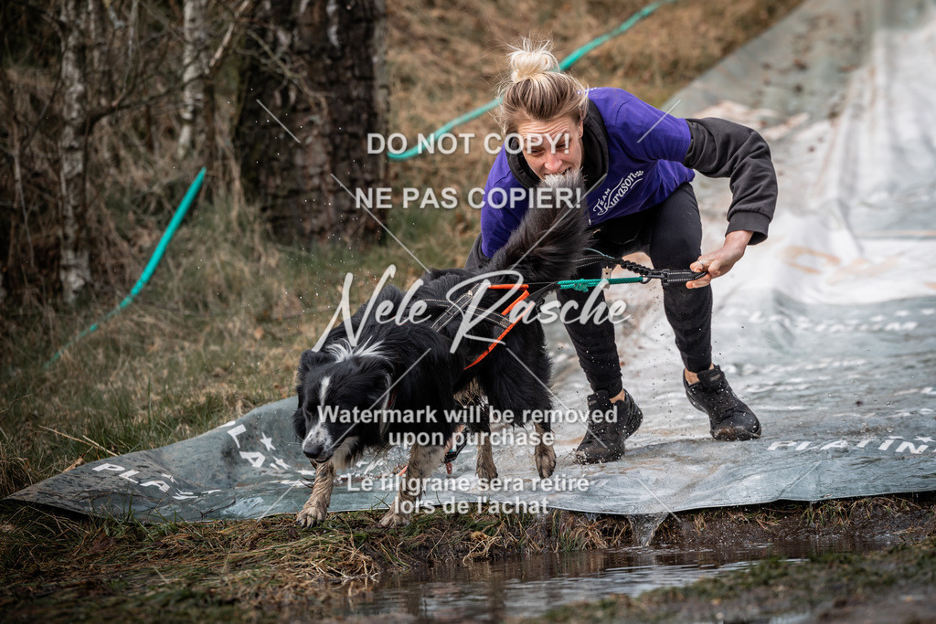 nelerasche_1330-1400_315 | nelerasche