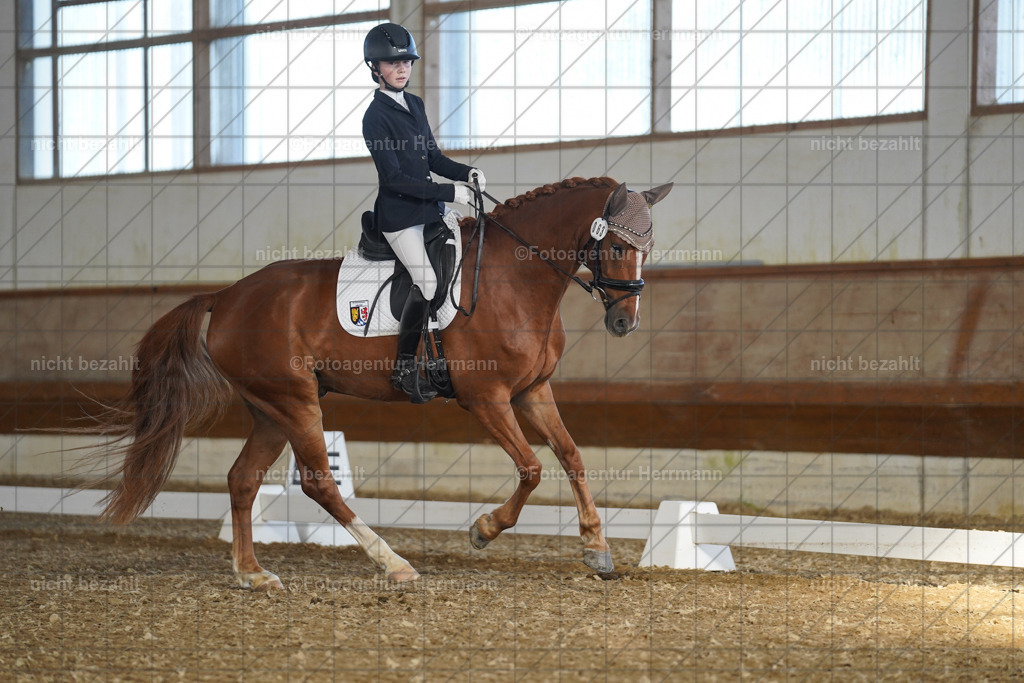 20240824-FAH07124 | Thierhaupten 2024, Bayerisches Landesponyturnier, Turnierbilder, Ponybilder, Turnierfotografen Bayern, Fotoagentur Herrmann