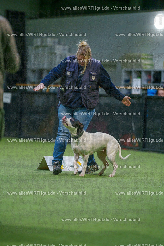 7R507779 | Professionelle Tierfotografie in Mönchengladbach von Daniel Wirth (allesWIRTHgut). Liebevolle & natürliche Bilder von Hunden & Katzen für unvergessliche Erinnerungen.
