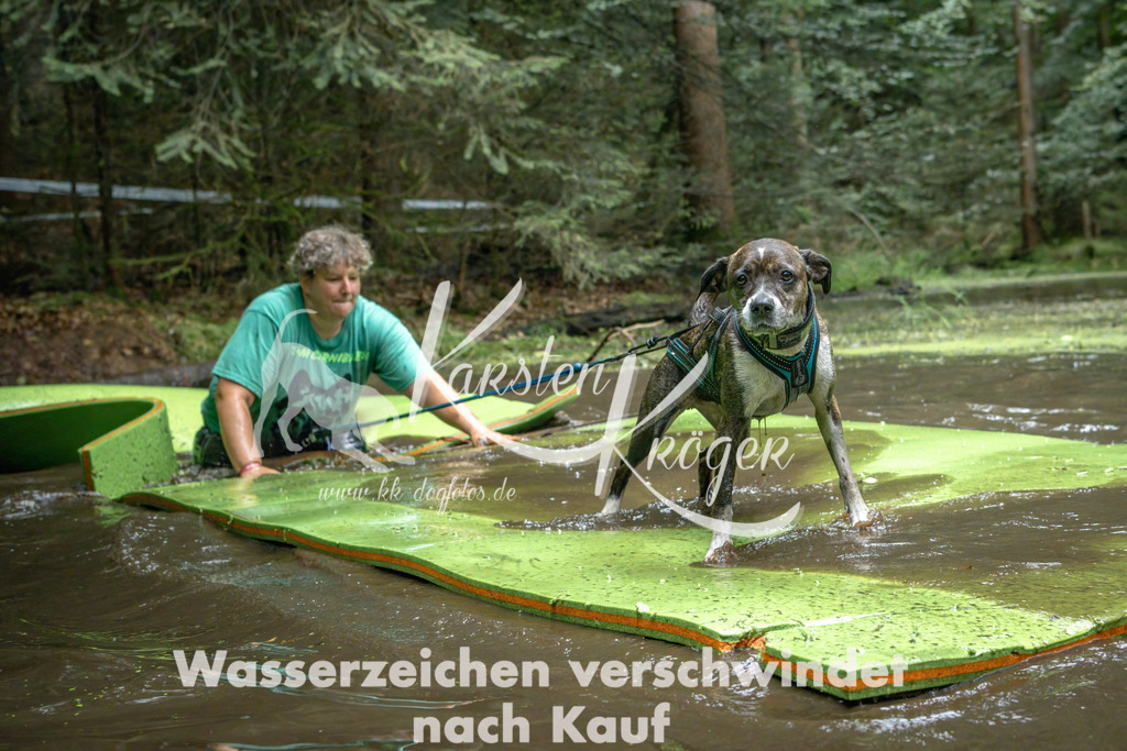 1515_ZZ94999-Bearbeitet | kk-dogfotos