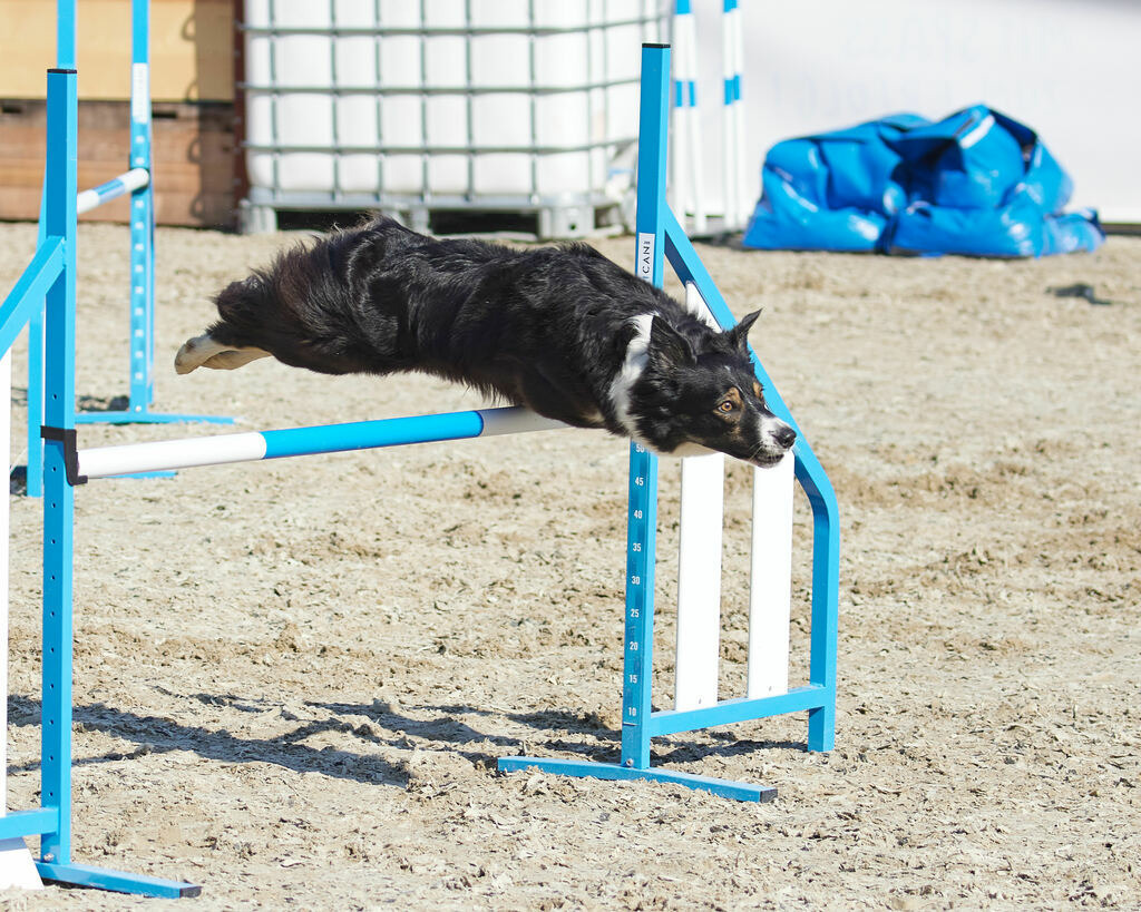 580A0156 | Peter Fridle Fotografie - Realisiert mit Pictrs.com