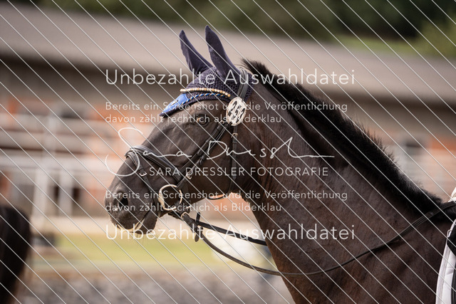 SD_OED_04633 | saradresslerfotografie - Realisiert mit Pictrs.com