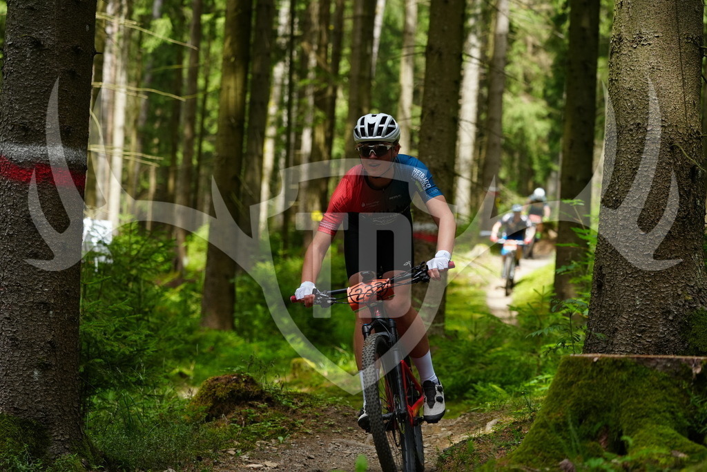 FC100479 | Fotogalerie der Treibjagd im Dunkelwald - Dein MTB Etappenrennen im Erzgebirge - Realisiert mit Pictrs.com