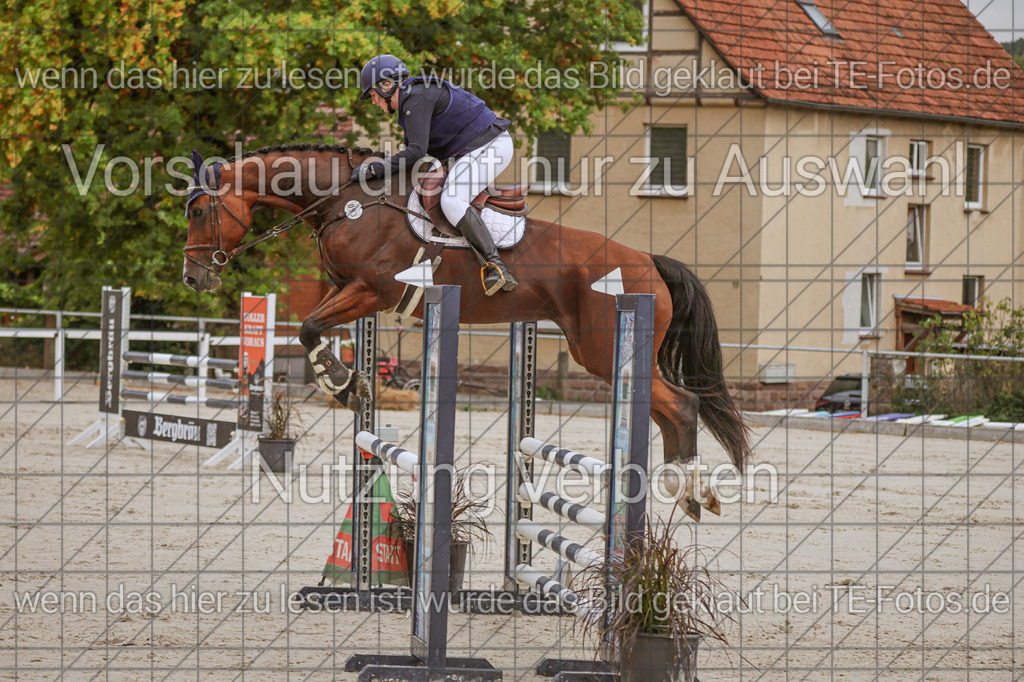 2025-09-22_09-44-57_MG_4516 | TE-Fotos