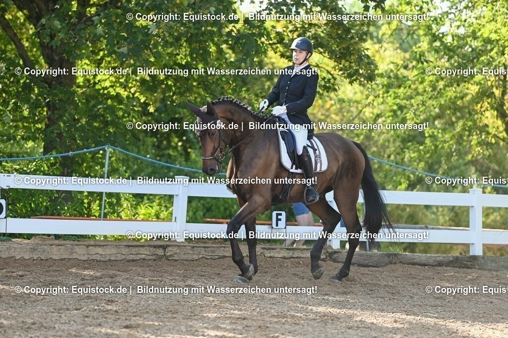 20230715_06_Dressurpferdeprfg. Kl.A_0044 | equistock