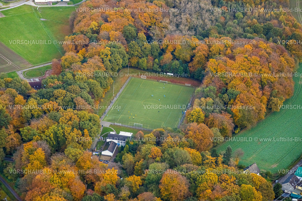 Bochum231102304 | Luftbild, Fußballplatz des Turn-und Sportverein Kaltehardt 1915 e.V., Herbstwald mit leuchtenden herbstlichen Laubbäumen, Langendreer, Bochum, Ruhrgebiet, Nordrhein-Westfalen, Deutschland
