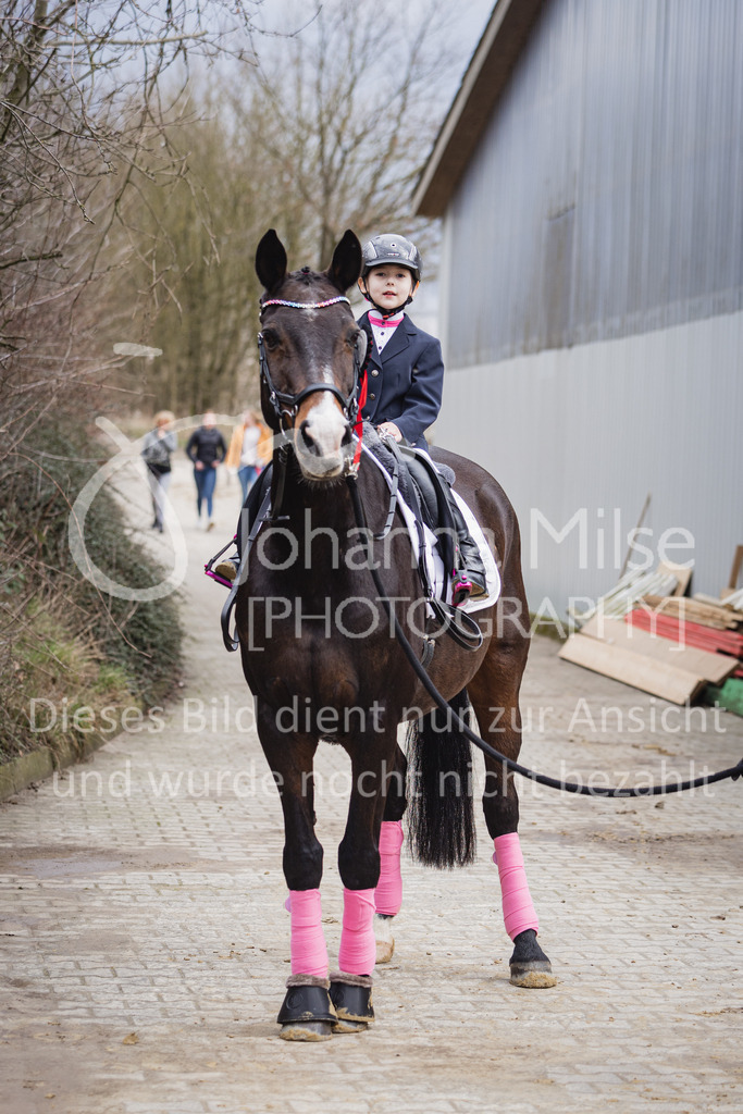 230319_HF-Schwm_Führzügel-246 | Herford-Schwarzenmoor, Dressurtag 2023, Führzügel-WB