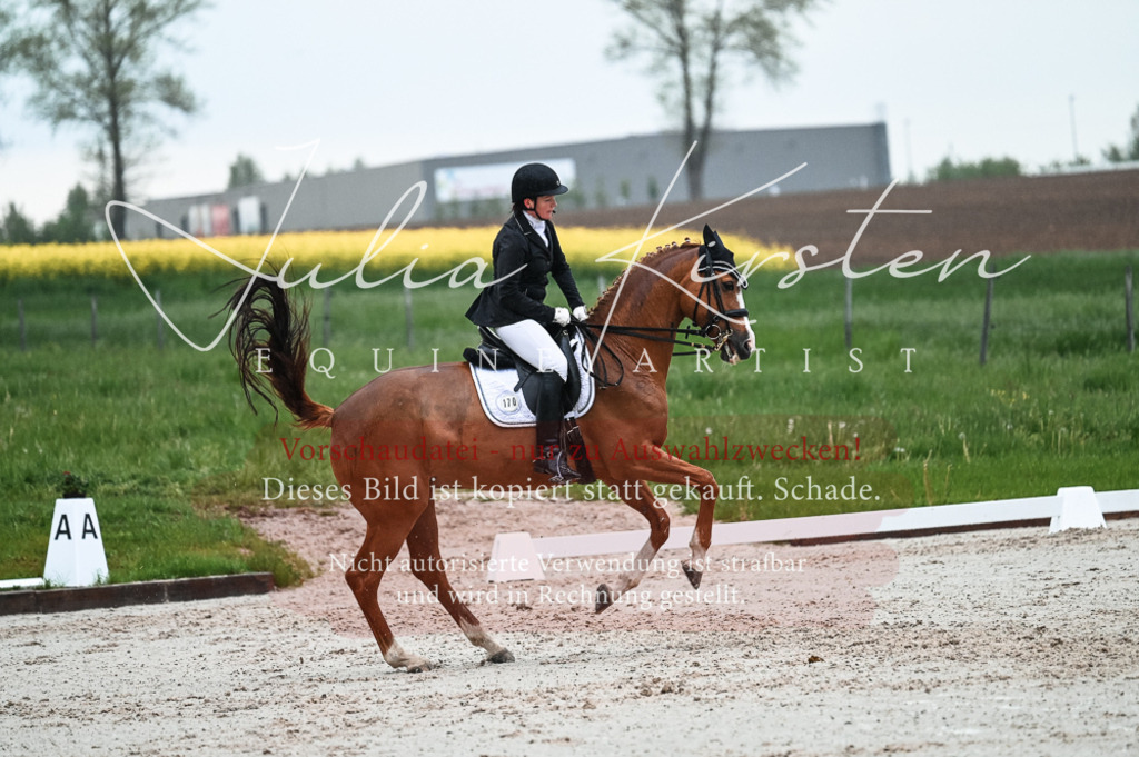 DSC_4476 | Pferde- und Turnierfotografie in Westsachsen. Pferdeportraits, Auftragszeichnungen und intuitive Kunst.