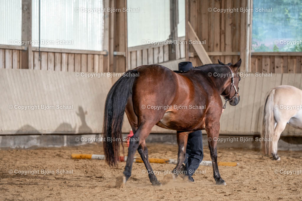 SAL00883 | BS-foto