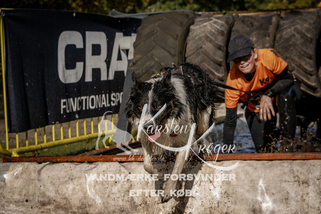 1310_ZZ92079 | kk-dogfotos
