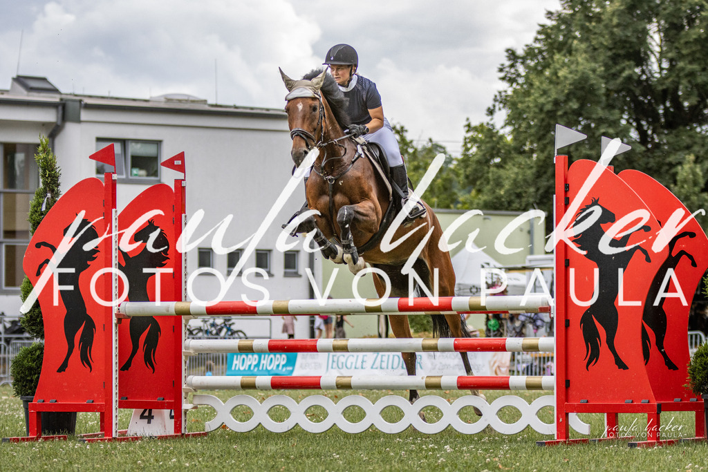 IMG_7498 | Erleben Sie dynamische Sport- und emotionale Tierfotografie in Süddeutschland mit Fotos von Paula. Spezialisiert auf Pferde- und Hundefotografie sowie Sportevents. Kontaktieren Sie mich für einzigartige und ausdrucksstarke Bilder Ihrer besonderen Momente.