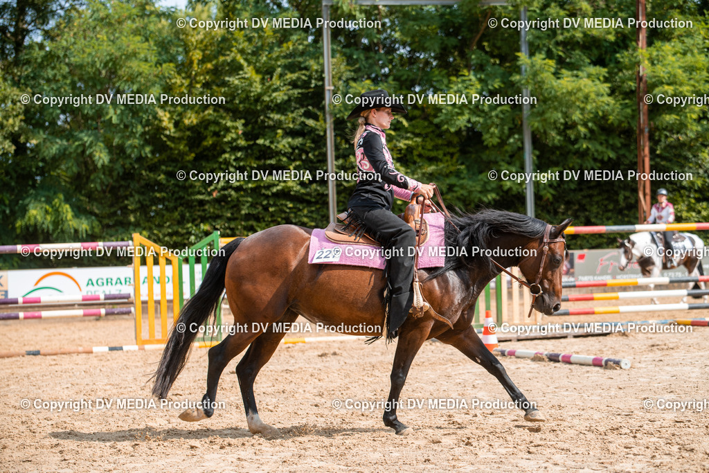 ZS2_7684 | dv-media-shop - Realisiert mit Pictrs.com