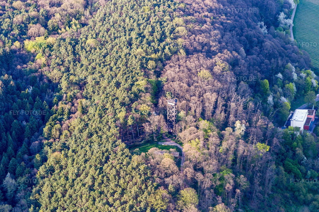 Luftbild: Bismarckturm in Bad Bergzabern im Bundesland Rheinland-Pfalz in Deutschland. Foto: IMG_106549.jpg vom 17.04.2018 durch Werner Riehm/FLY-FOTO.de