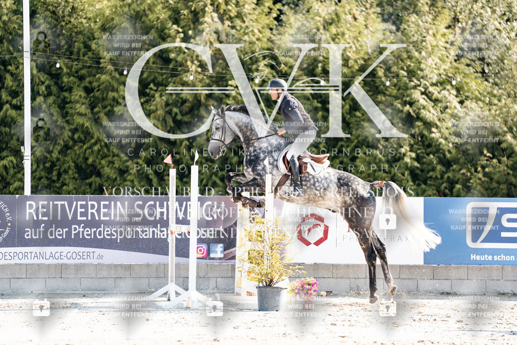 CK902093 | Turnierfotografie Pferdefotografie Trier Rheinland-Pfalz Pferdesport Reitsport Tierfotografie Sportfotografie Pferdevideo Pferdevideografie Equestrianvideography equestrianphotography  - Realisiert mit Pictrs.com