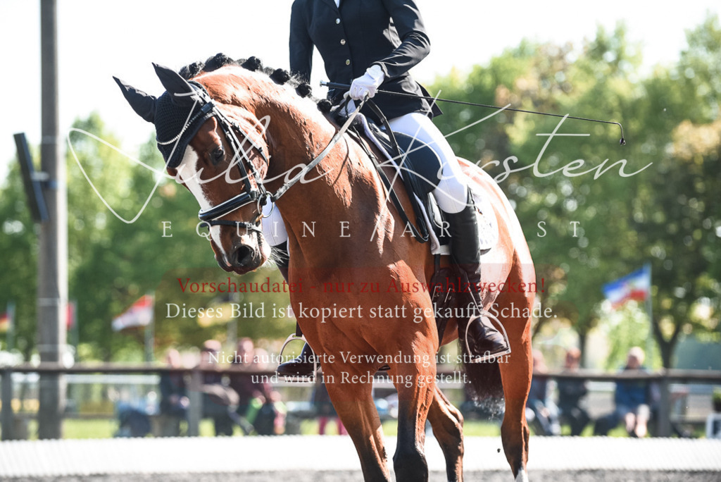 DSC_8677 | Pferde- und Turnierfotografie in Westsachsen. Pferdeportraits, Auftragszeichnungen und intuitive Kunst.