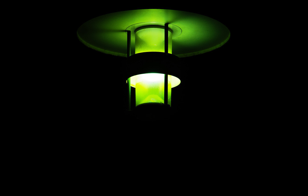 Green lantern | die schönsten Bilder aus Wald und Wiese, sowie Streifzüge durch den Garten mit der gesamten Blumen & Insektenwelt.   - Realisiert mit Pictrs.com