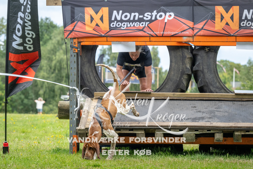 1236_ZZ94301 | kk-dogfotos