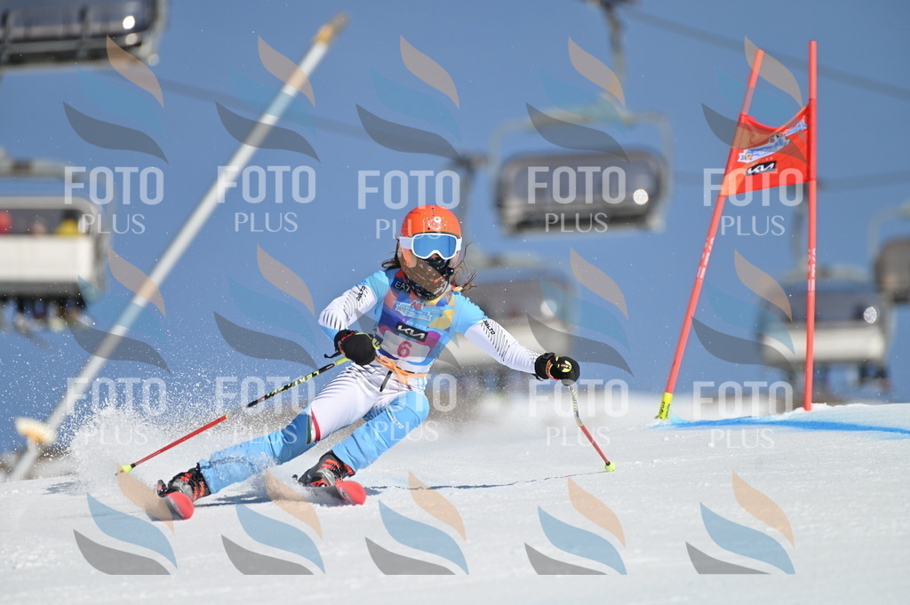 BGV_7664 | holidayphoto