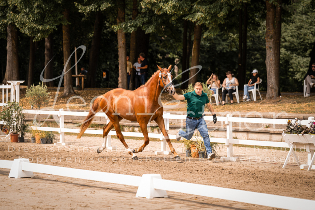 5.Fr00096 | Leoni Ertmer Photography - Realisiert mit Pictrs.com