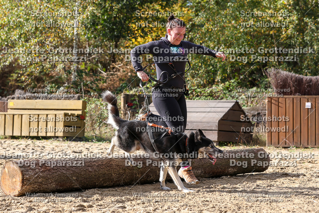 Dog Paparazzi - Strongdog 10-25-5878 | Dog Paparazzi Jeanette Grottendiek Fotografie & Videografie - Realisiert mit Pictrs.com