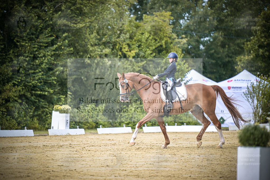 DOS_5761 | Entdecke hochwertige Reitturnierfotos von Foto Oger. Professionell, emotional und authentisch – jetzt Lieblingsmomente im Shop bestellen. - Realisiert mit Pictrs.com