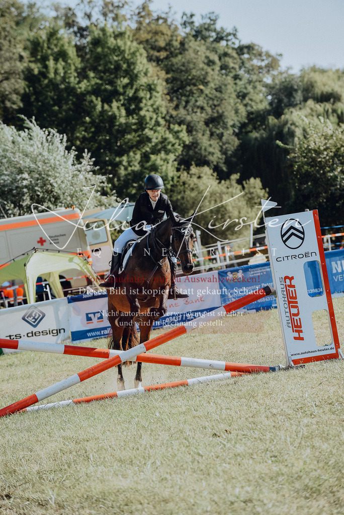 DSC_5561 | Pferde- und Turnierfotografie in Westsachsen. Pferdeportraits, Auftragszeichnungen und intuitive Kunst.