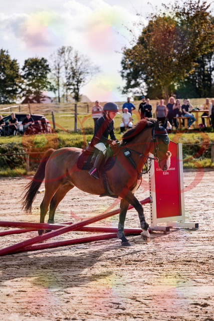 2026_10_03_Siefer-Hof_143754_Z81_06992776 | Professionelle Reitsport-, Turnier- und Eventfotografie von Robert Broda. Galerien mit ausgewählten und bearbeiteten Bildern direkt online ansehen und bestellen.