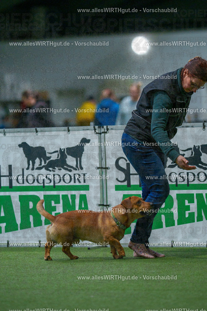 7R502341 | Professionelle Tierfotografie in Mönchengladbach von Daniel Wirth (allesWIRTHgut). Liebevolle & natürliche Bilder von Hunden & Katzen für unvergessliche Erinnerungen.