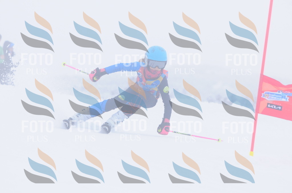 C2811 | holidayphoto