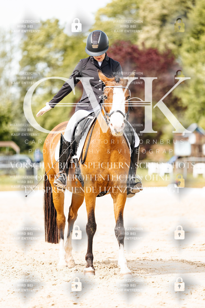 CK901277 | Turnierfotografie Pferdefotografie Trier Rheinland-Pfalz Pferdesport Reitsport Tierfotografie Sportfotografie Pferdevideo Pferdevideografie Equestrianvideography equestrianphotography  - Realisiert mit Pictrs.com