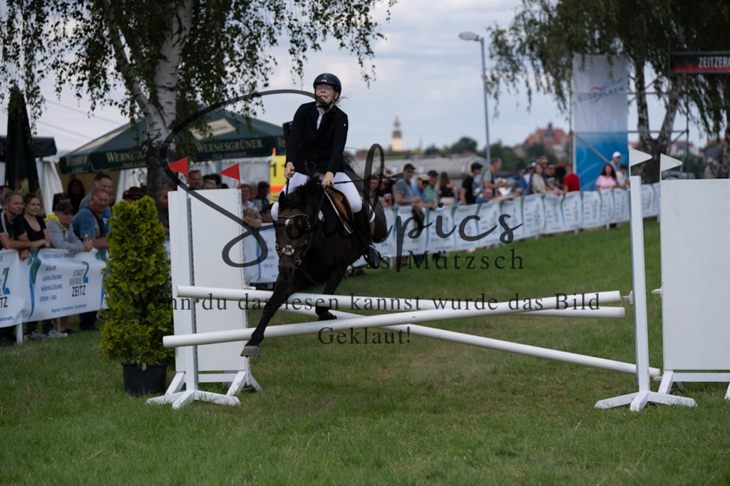 A7V04423 | Pferdefotograf