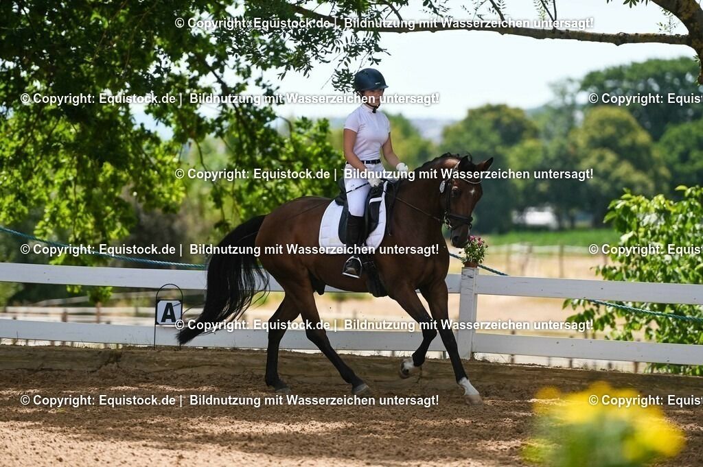 20230715_09_Dressur-WB_0152 | equistock