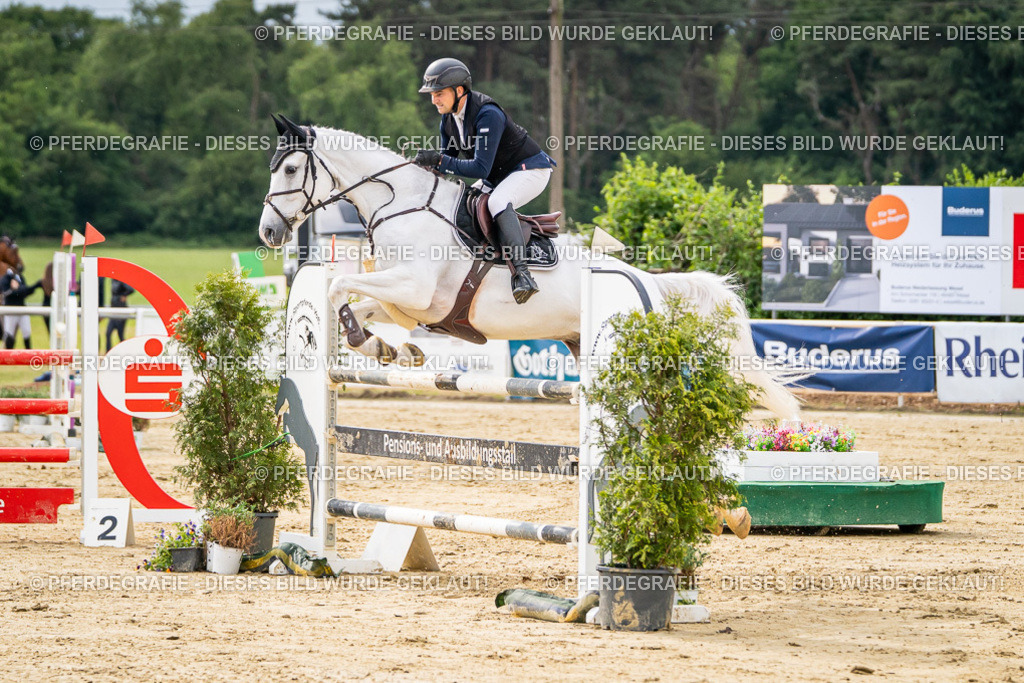 DSC06447 | Pferdegrafie