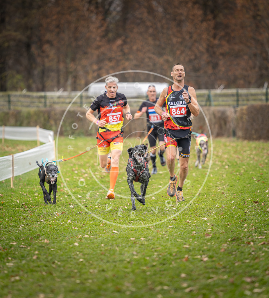 CaniXpix_DV3A6674 | Hundefotografie, Tierfotograf, Pfotenfotografie, Fotoshooting Hund, Hunde Portrait, Hundesport, Hundeportraits, Heideshooting, Hunde, Sportfotograf, Hundefotograf, Turnierhundsport, THS,  - Realisiert mit Pictrs.com