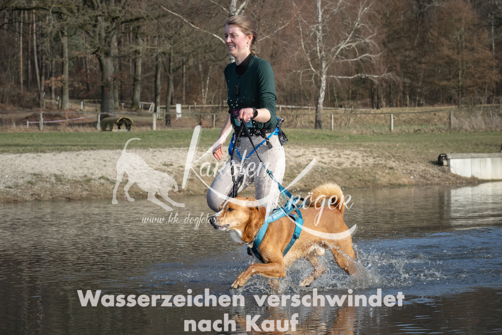 1459_ZZ91271 | kk-dogfotos