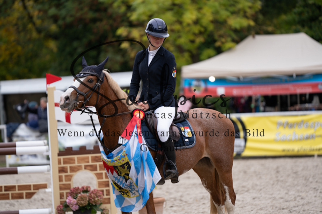 A7V09238 | Pferdefotograf